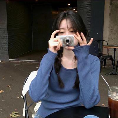 神犬小七第二季